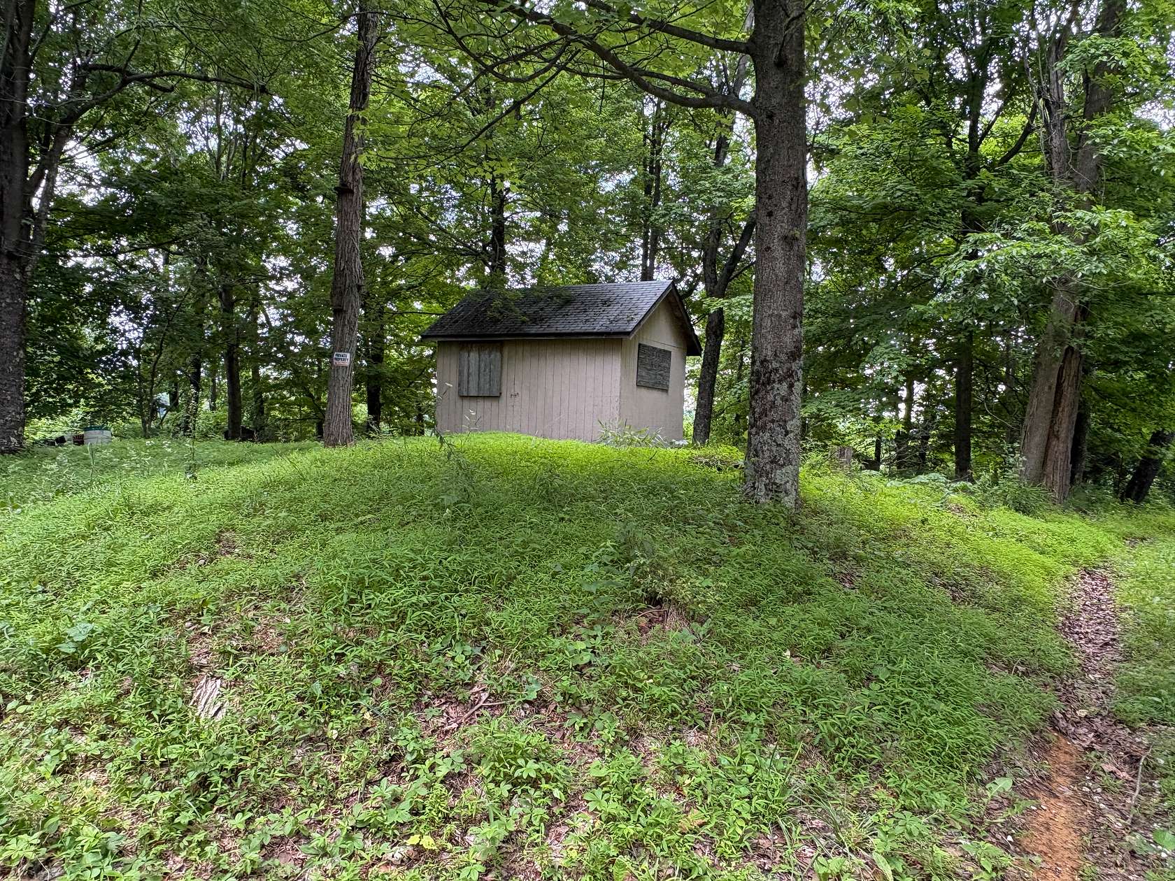 39.6 Acres of Improved Land for Sale in Sardis, Ohio