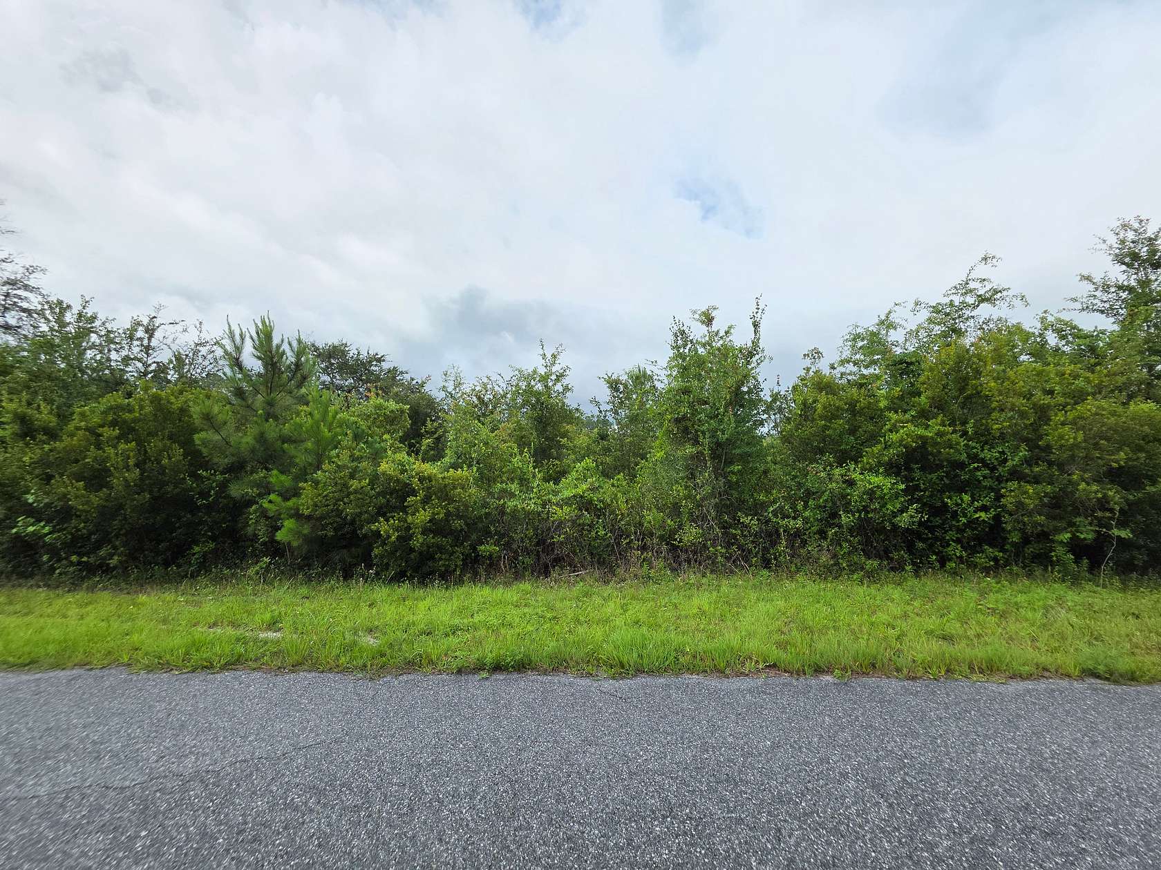 20 Acres of Land for Sale in Lake City, Florida