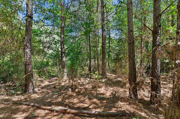 2 Acres of Residential Land for Sale in De Berry, Texas