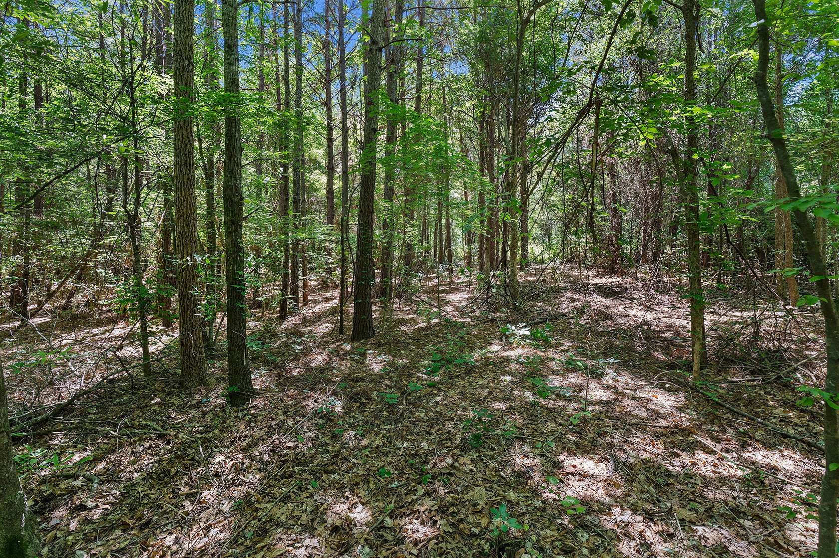 2 Acres of Residential Land for Sale in De Berry, Texas