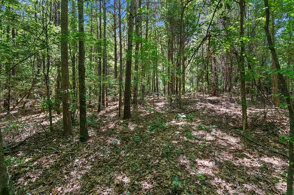 2 Acres of Residential Land for Sale in De Berry, Texas