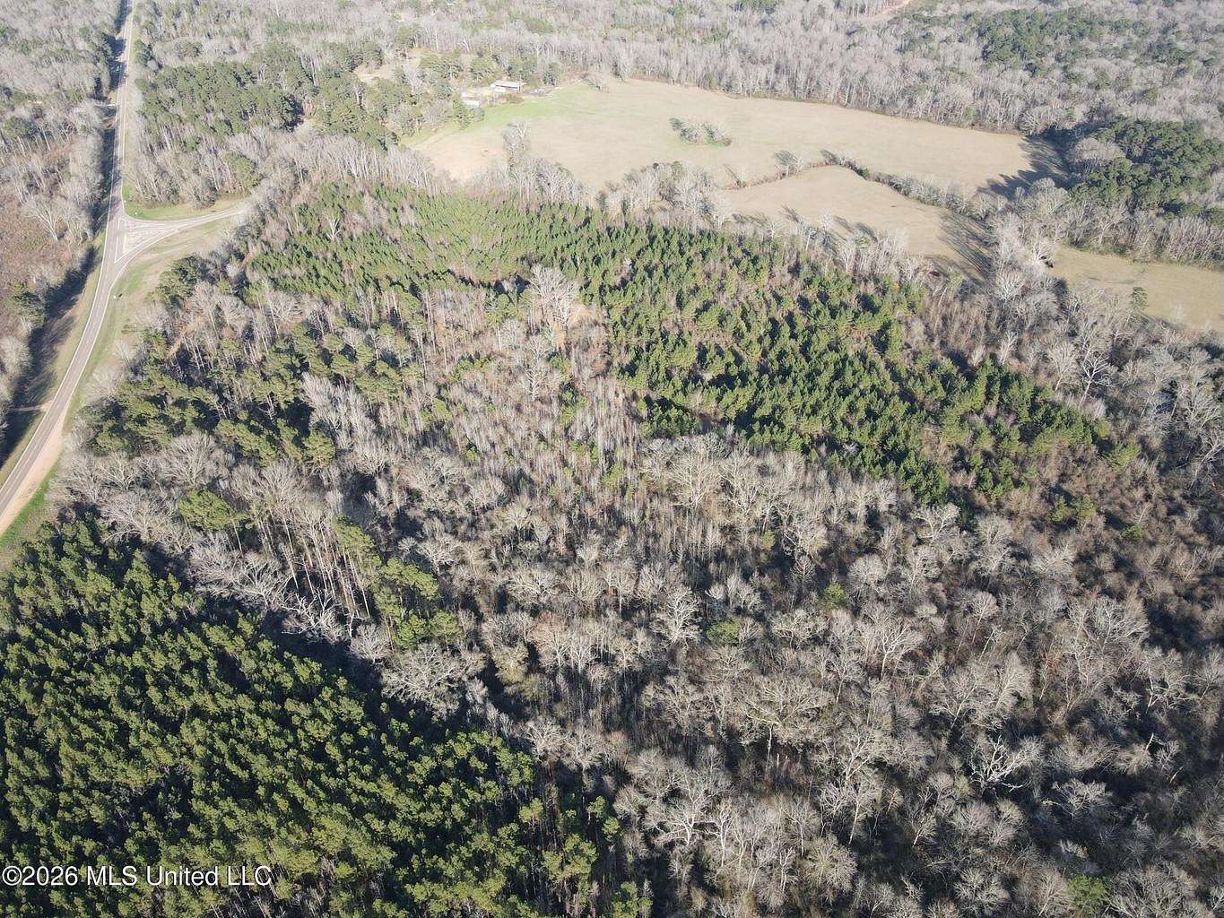 15 Acres of Land for Sale in Hazlehurst, Mississippi