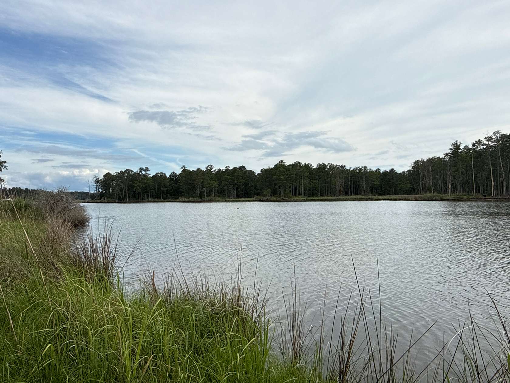 1.4 Acres of Residential Land for Sale in Belhaven, North Carolina