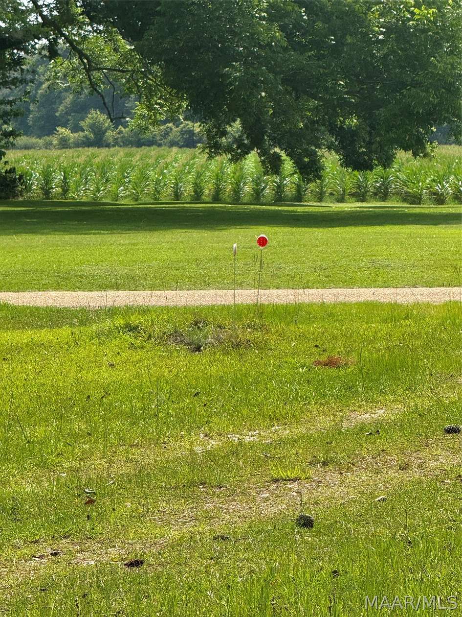9.15 Acres of Residential Land for Sale in Greenville, Alabama