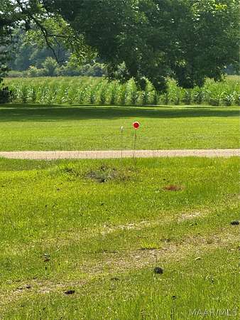 9.15 Acres of Residential Land for Sale in Greenville, Alabama