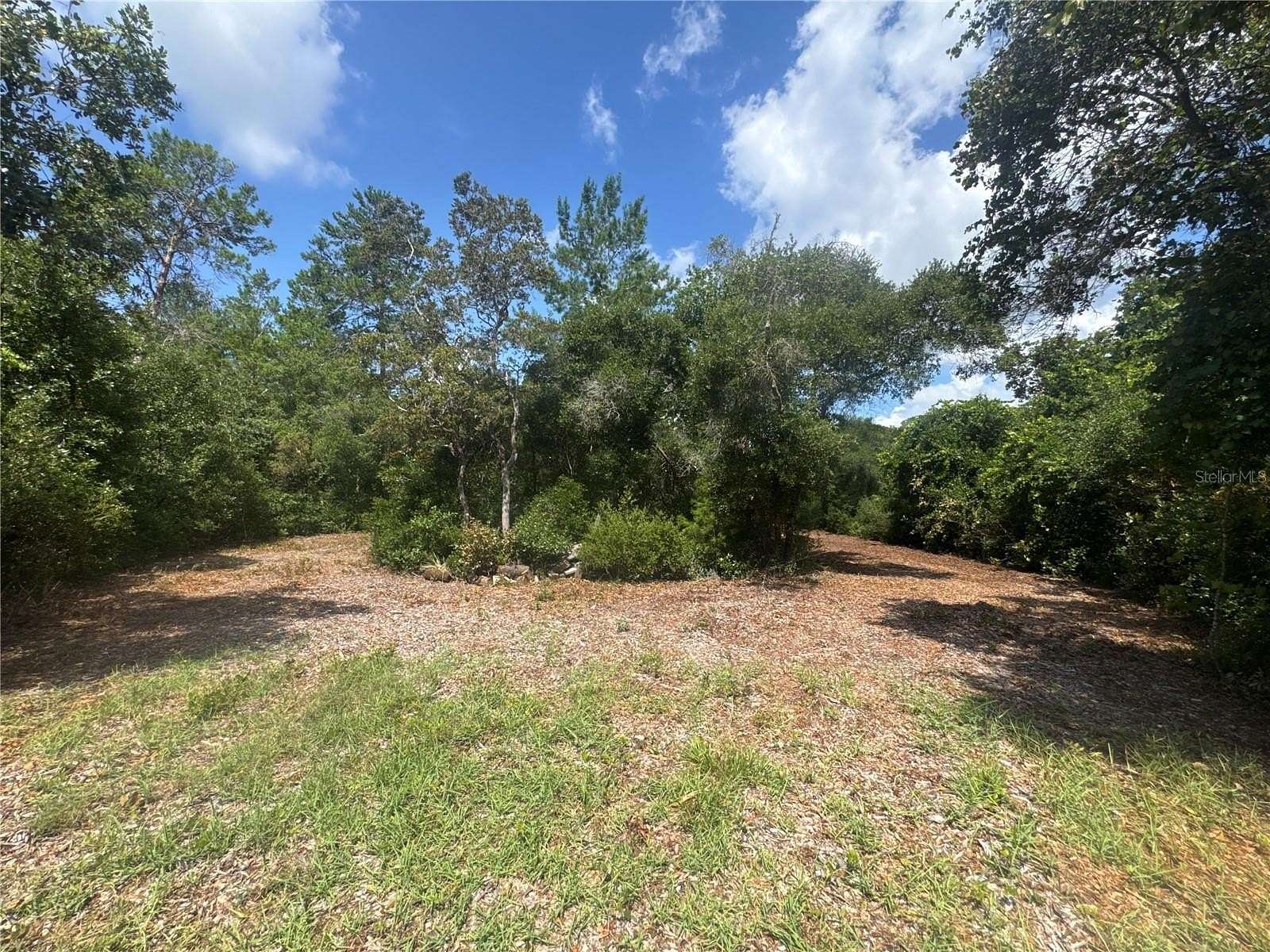 1.55 Acres of Residential Land for Sale in Paisley, Florida