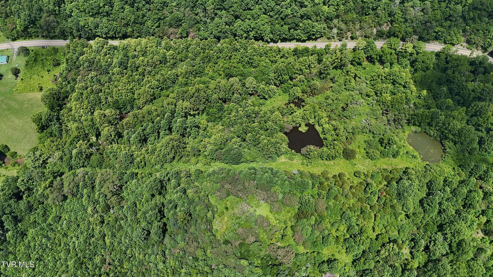 125 Acres of Recreational Land for Sale in Rogersville, Tennessee