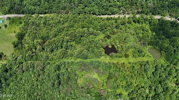 125 Acres of Recreational Land for Sale in Rogersville, Tennessee