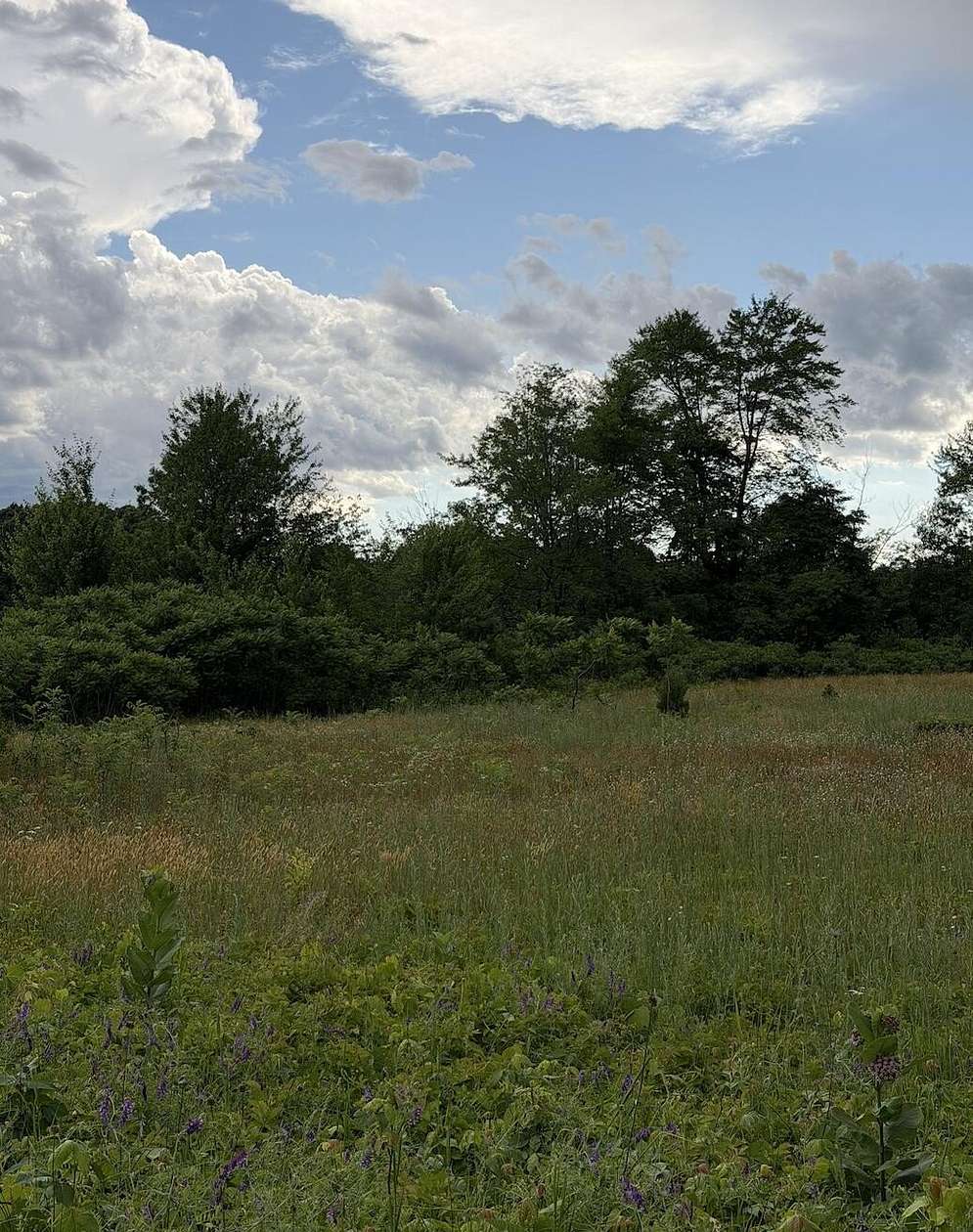 24.8 Acres of Land for Sale in Watervliet, Michigan