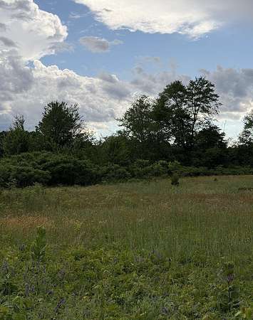 24.8 Acres of Land for Sale in Watervliet, Michigan