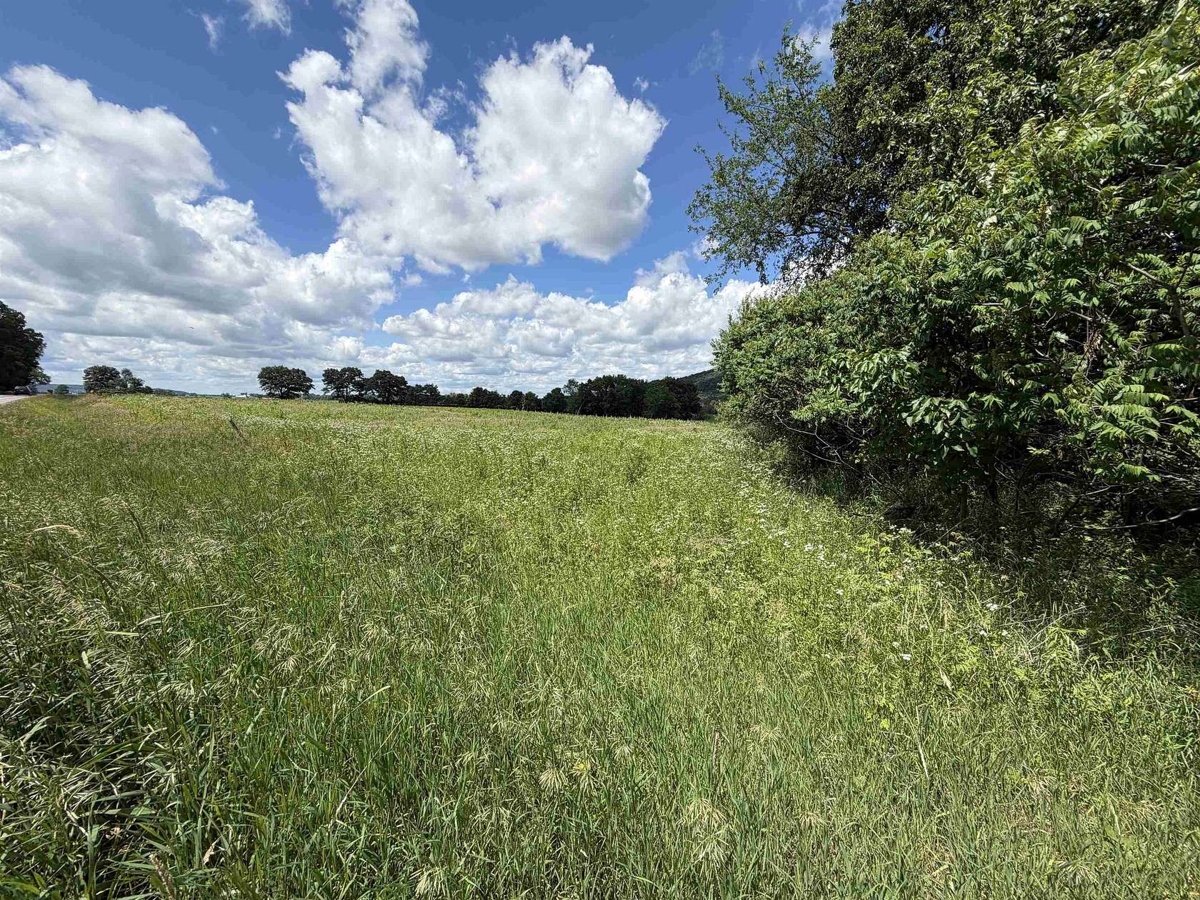 7.7 Acres of Land for Sale in Mauston, Wisconsin
