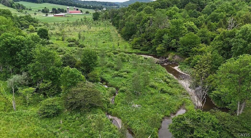 15.1 Acres of Land for Sale in McGraw, New York
