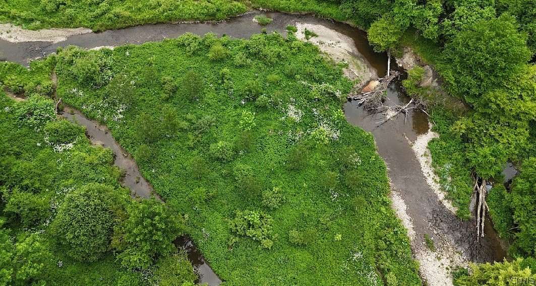 15.1 Acres of Land for Sale in McGraw, New York