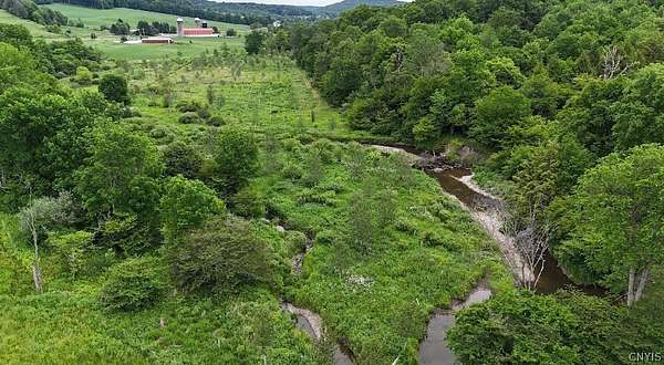 15.1 Acres of Land for Sale in McGraw, New York