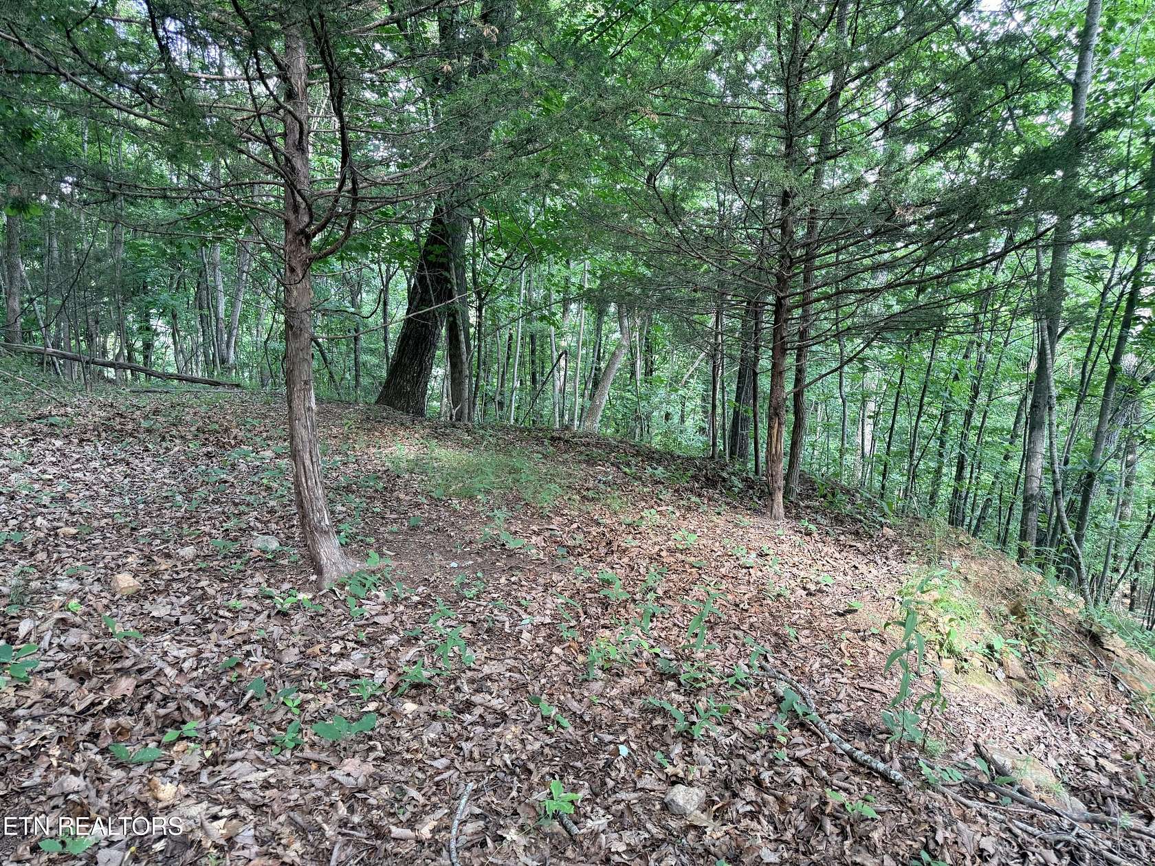 2.8 Acres of Residential Land for Sale in New Tazewell, Tennessee