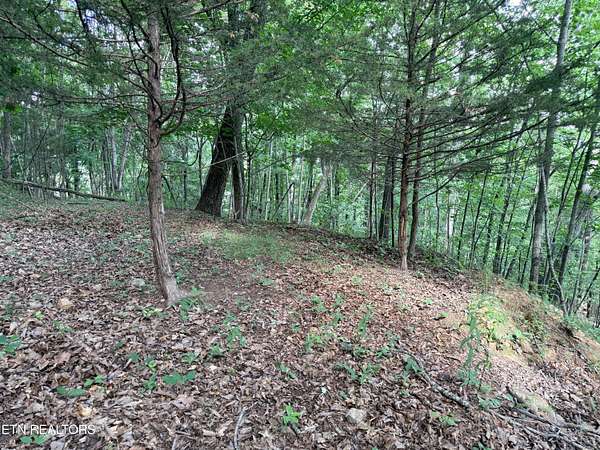 2.8 Acres of Residential Land for Sale in New Tazewell, Tennessee