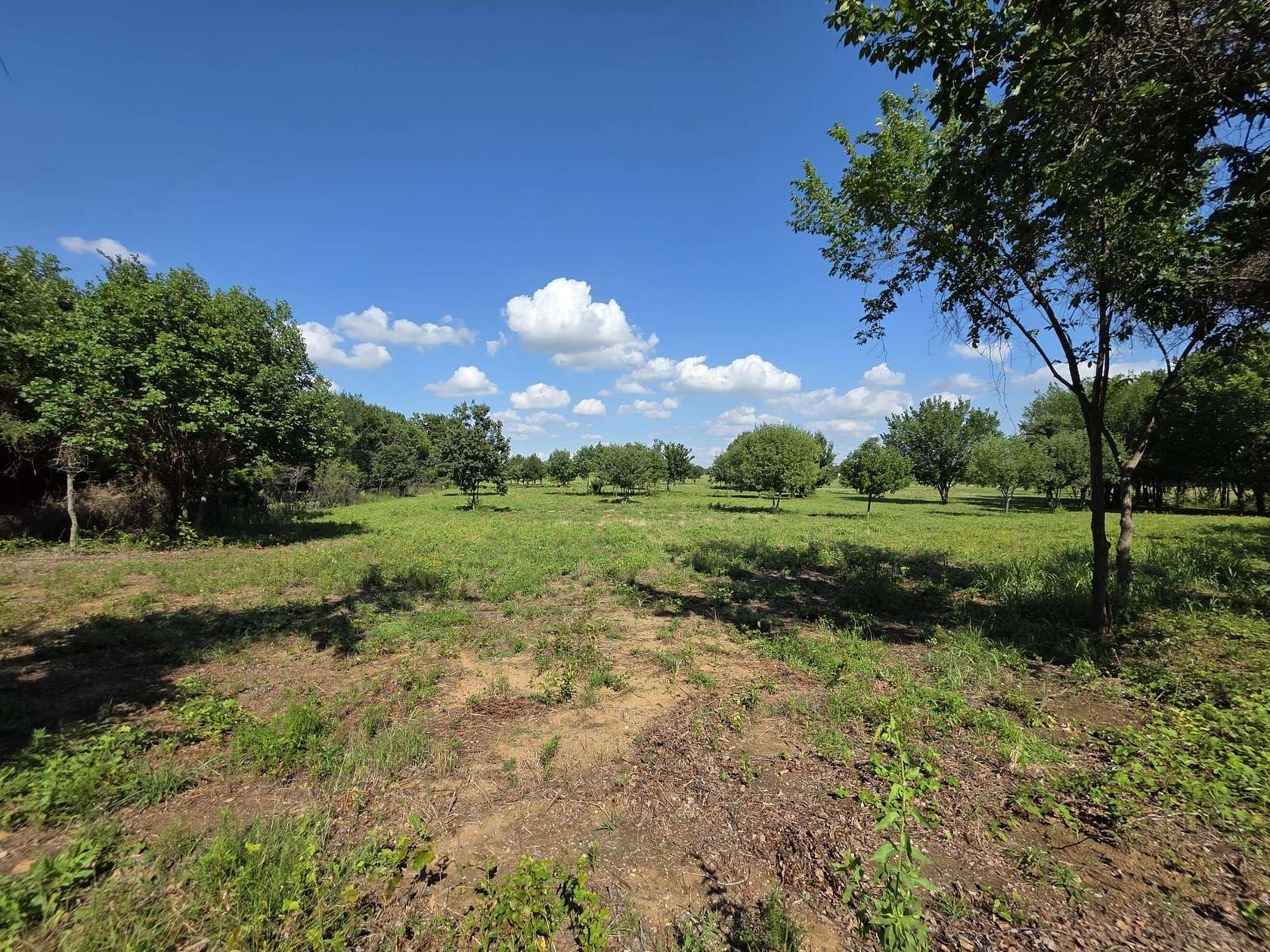 4.27 Acres of Residential Land for Sale in Oak Point, Texas