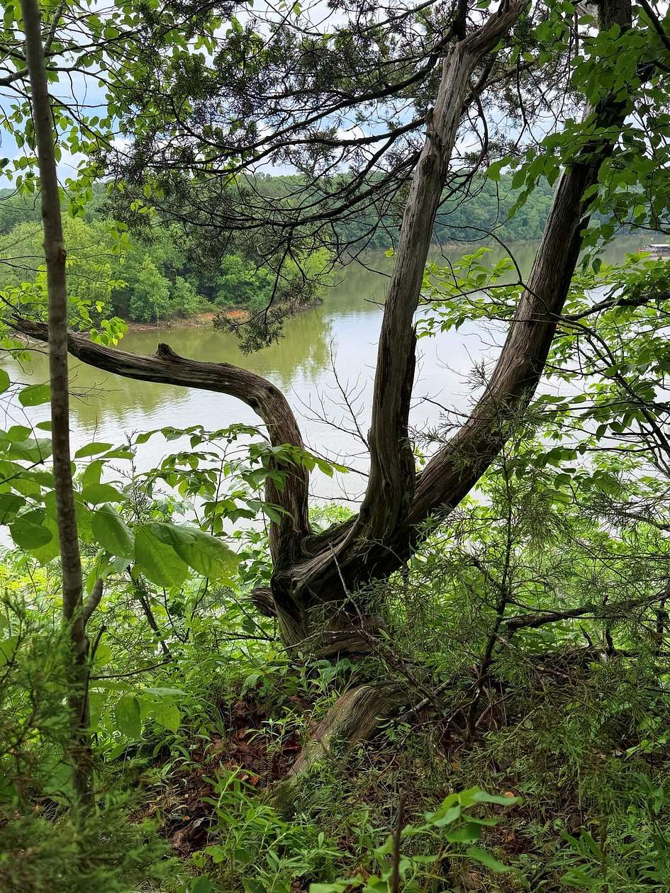 86.7 Acres of Recreational Land for Sale in Golden, Missouri