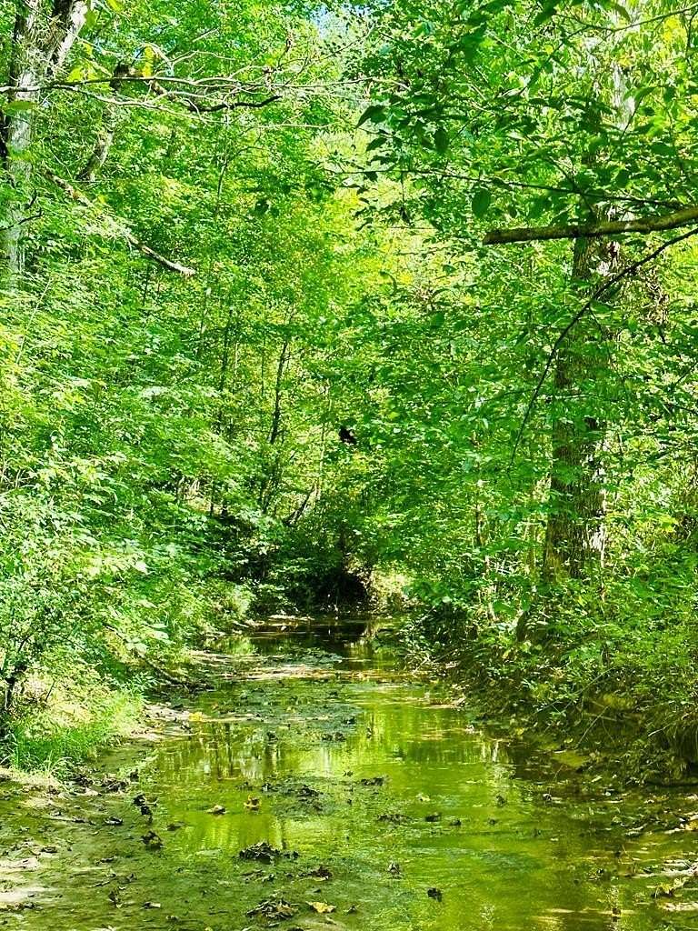 94 Acres of Recreational & Residential Land for Sale in Gunlock, Kentucky