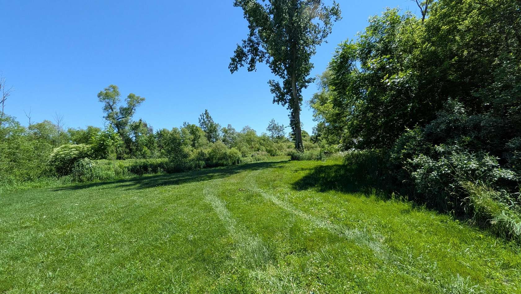 8.16 Acres of Residential Land for Sale in Fennville, Michigan