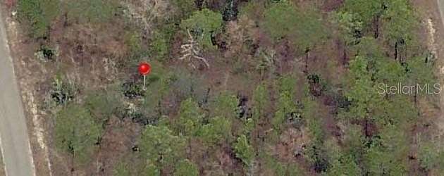 0.24 Acres of Residential Land for Sale in Ocklawaha, Florida