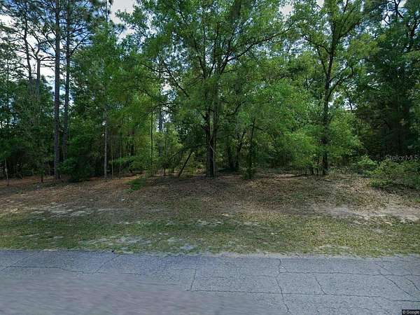 1 Acre of Residential Land for Sale in Beverly Hills, Florida