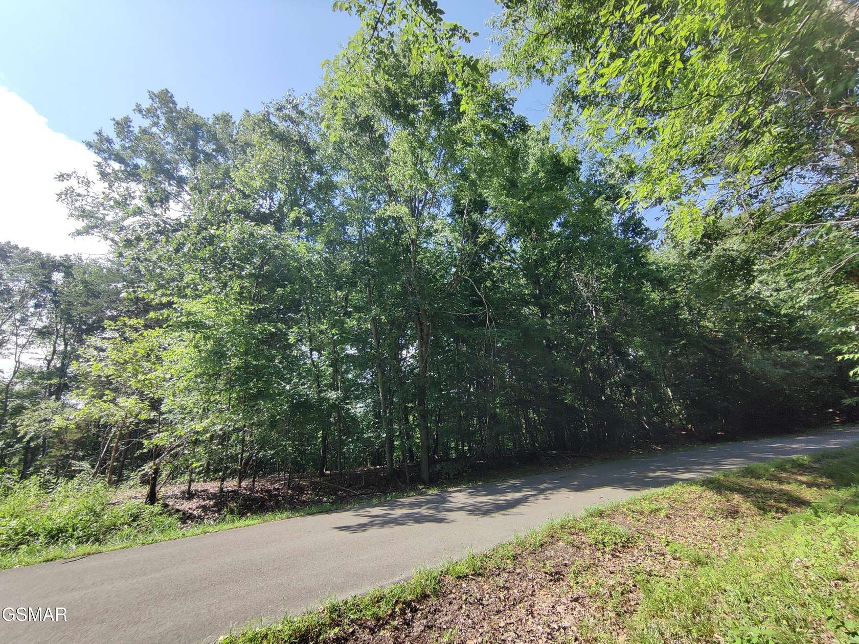 0.34 Acres of Residential Land for Sale in Baneberry, Tennessee
