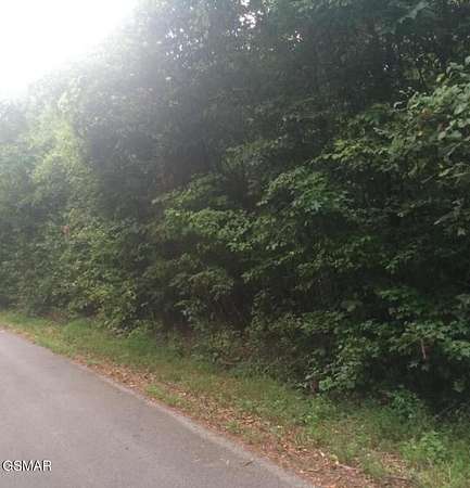 0.34 Acres of Residential Land for Sale in Baneberry, Tennessee