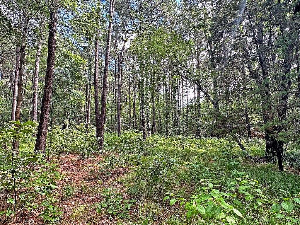 5 Acres of Residential Land for Sale in Athens, Texas