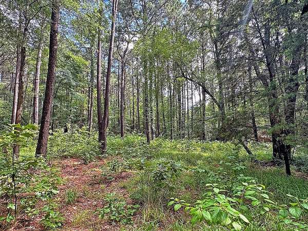 5 Acres of Residential Land for Sale in Athens, Texas
