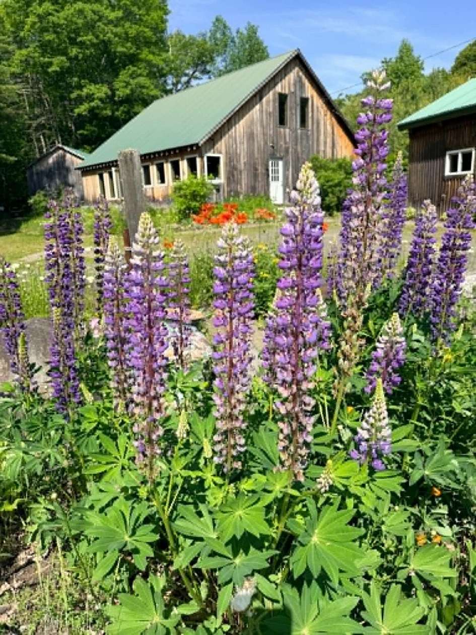 1.73 Acres of Improved Mixed-Use Land for Sale in Guilford, Maine