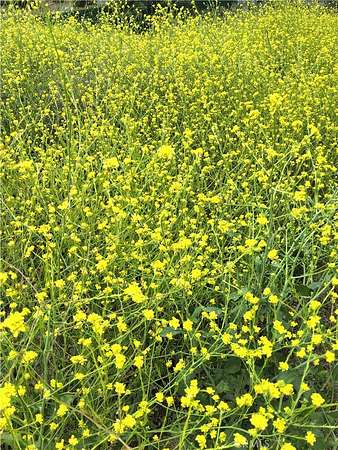 0.19 Acres of Residential Land for Sale in Val Verde, California