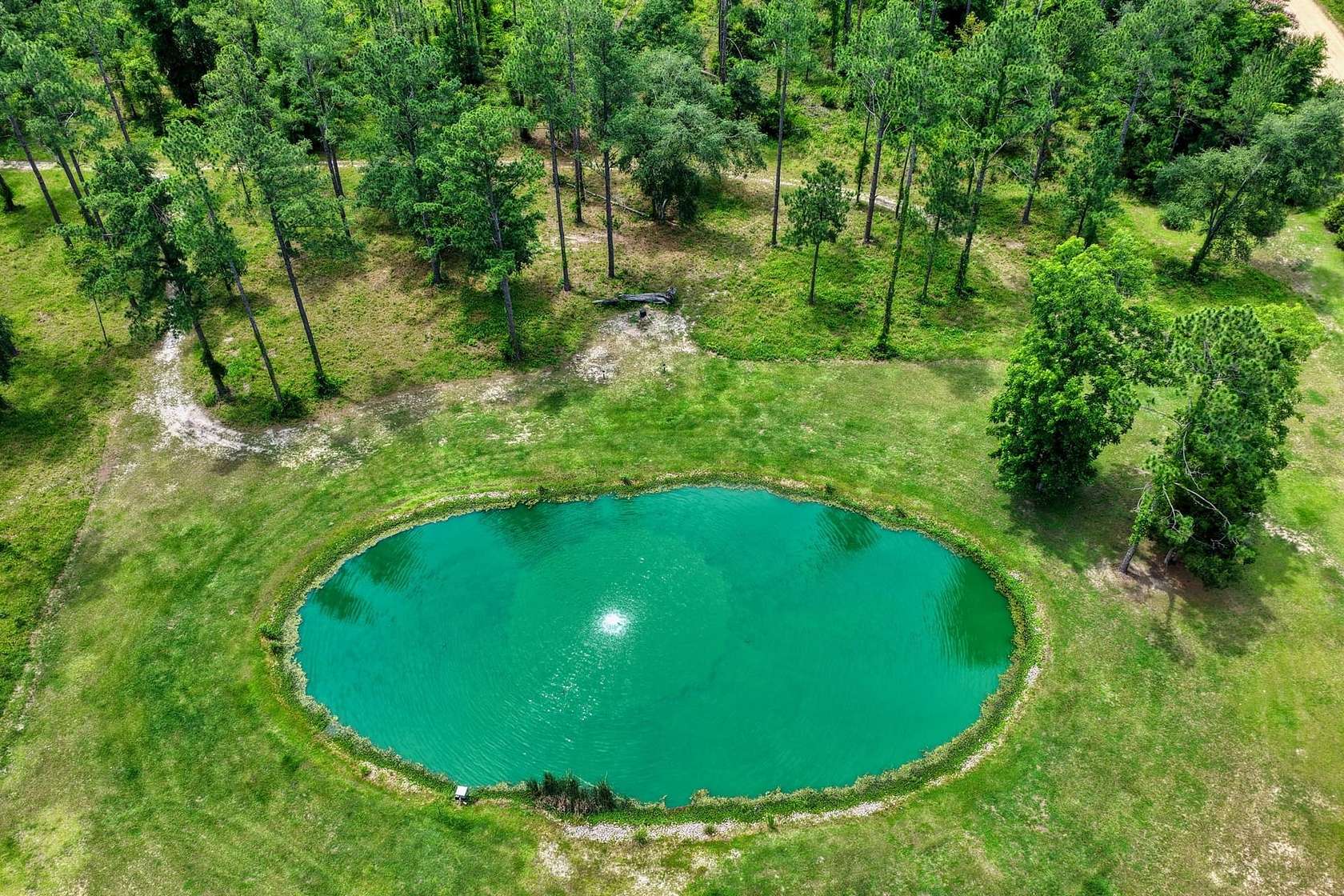 17.5 Acres of Land with Home for Sale in Lee, Florida