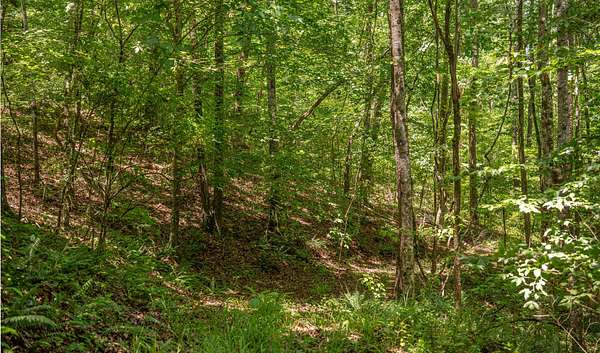 163 Acres of Recreational Land for Sale in West Blocton, Alabama