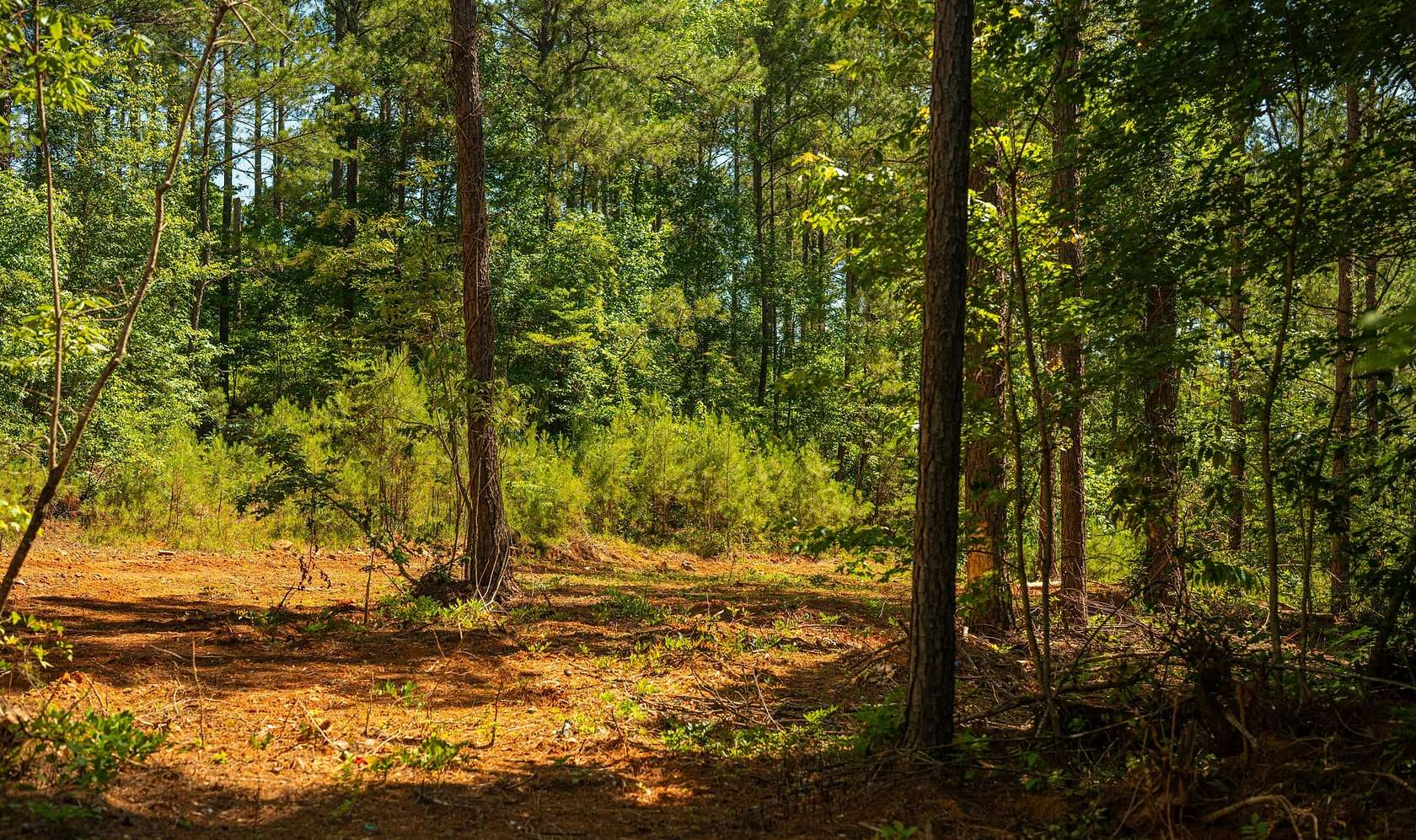 33 Acres of Recreational Land for Sale in West Blocton, Alabama