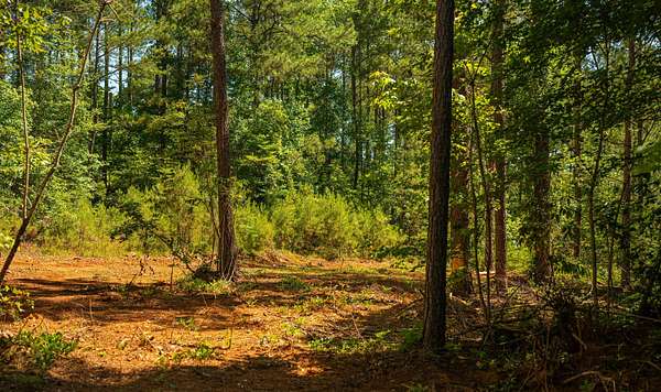 33 Acres of Recreational Land for Sale in West Blocton, Alabama