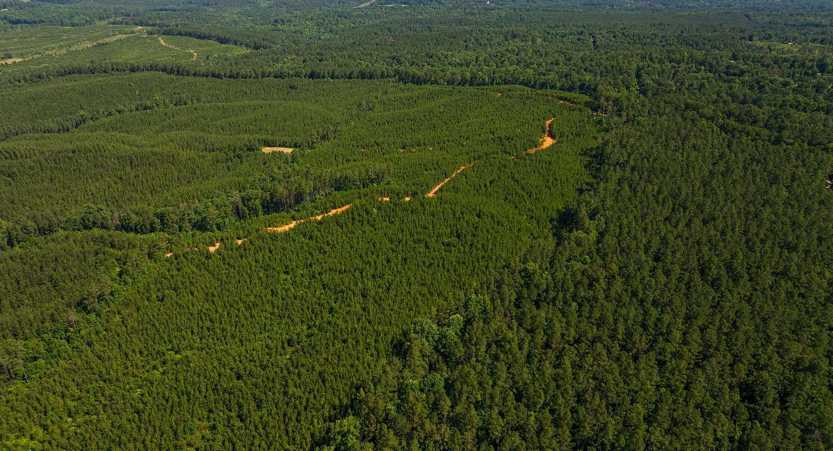 58 Acres of Recreational Land for Sale in West Blocton, Alabama