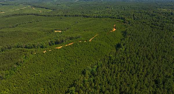 58 Acres of Recreational Land for Sale in West Blocton, Alabama