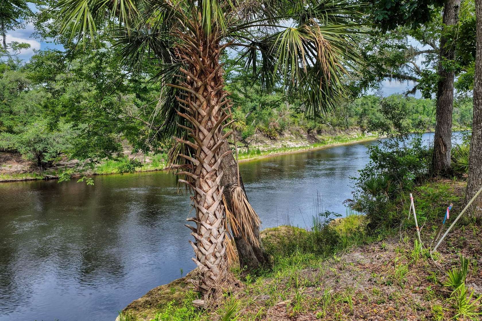 0.5 Acres of Land for Sale in Lee, Florida