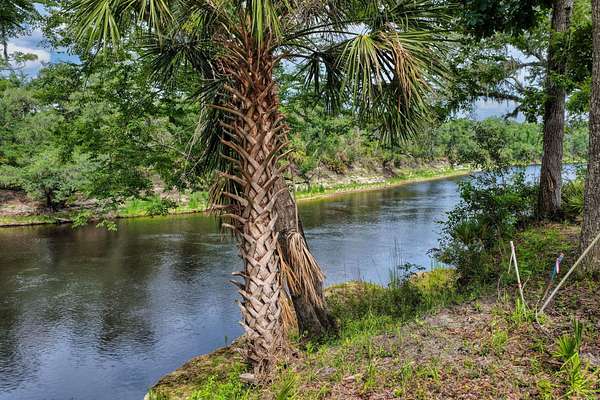 0.5 Acres of Land for Sale in Lee, Florida