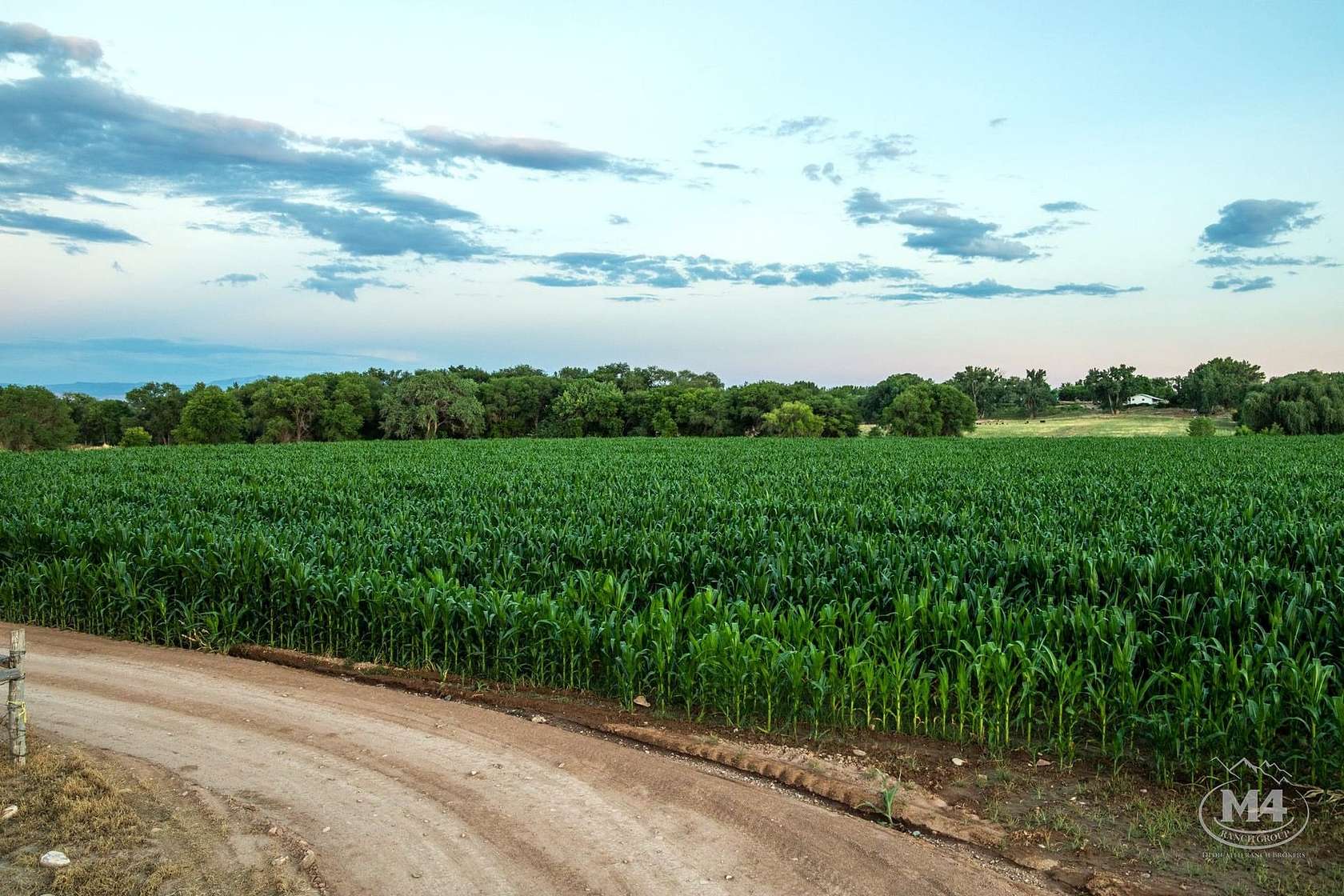 75 Acres of Land with Home for Sale in Olathe, Colorado
