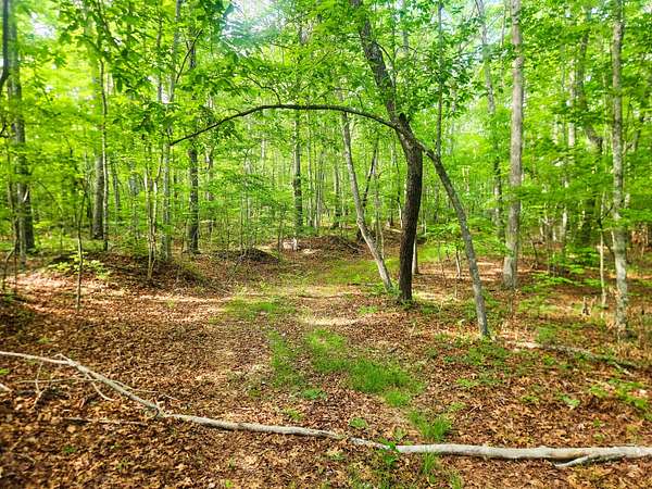 169 Acres of Land for Sale in Duff, Tennessee