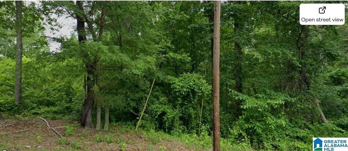 1 Acre of Residential Land for Sale in Bessemer, Alabama