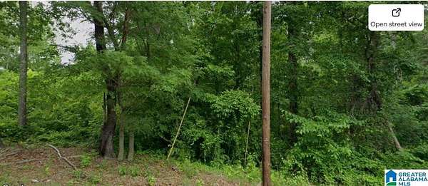 1 Acre of Residential Land for Sale in Bessemer, Alabama