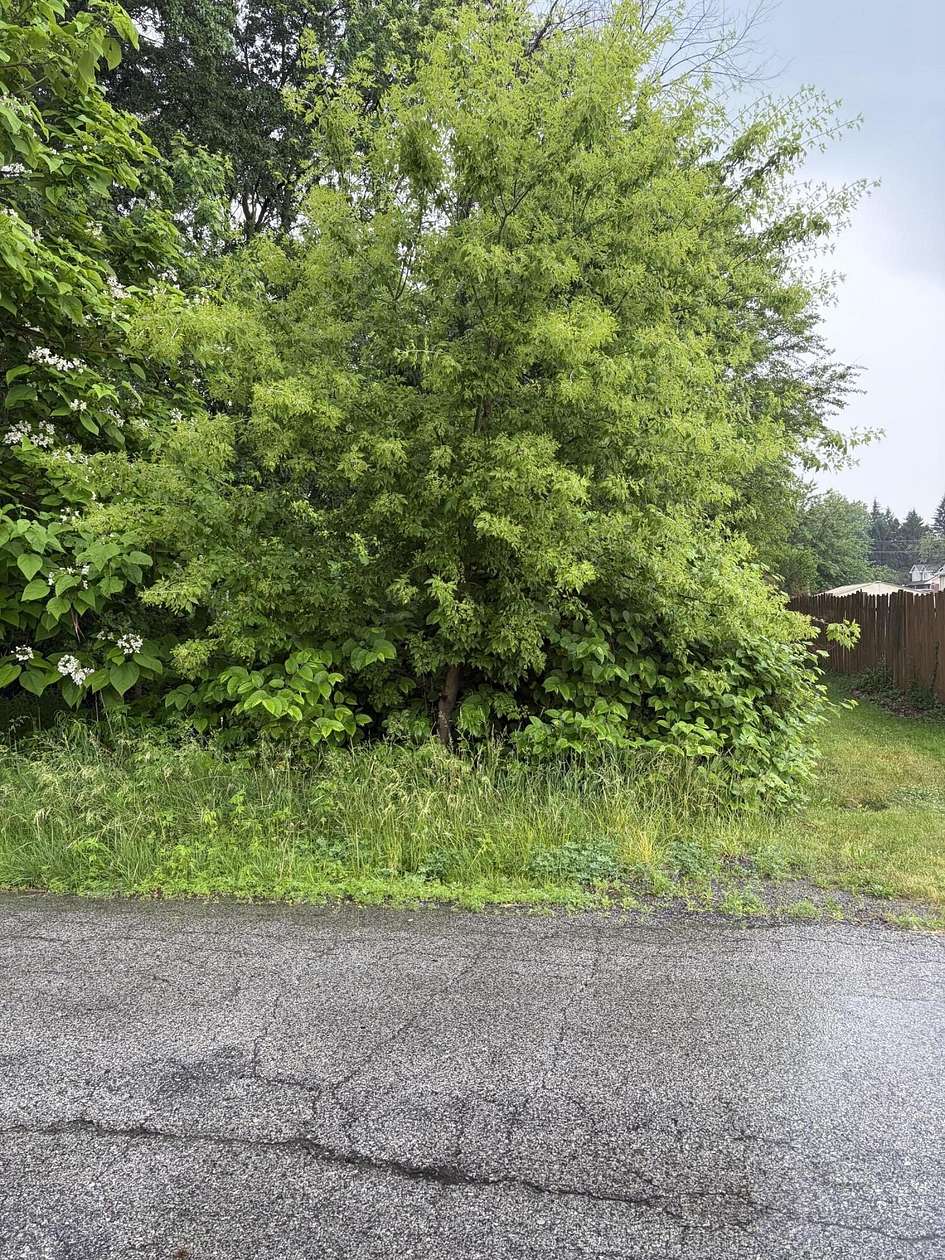 0.14 Acres of Residential Land for Sale in Hobart, Indiana