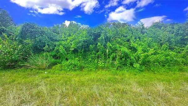 0.23 Acres of Mixed-Use Land for Sale in Cape Coral, Florida