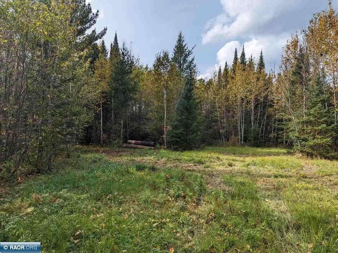 37 Acres of Recreational Land for Sale in Littlefork, Minnesota