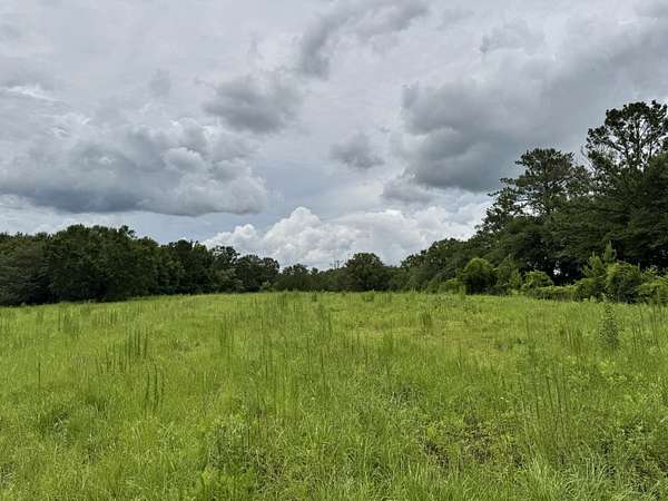 15 Acres of Land for Sale in Florala, Alabama