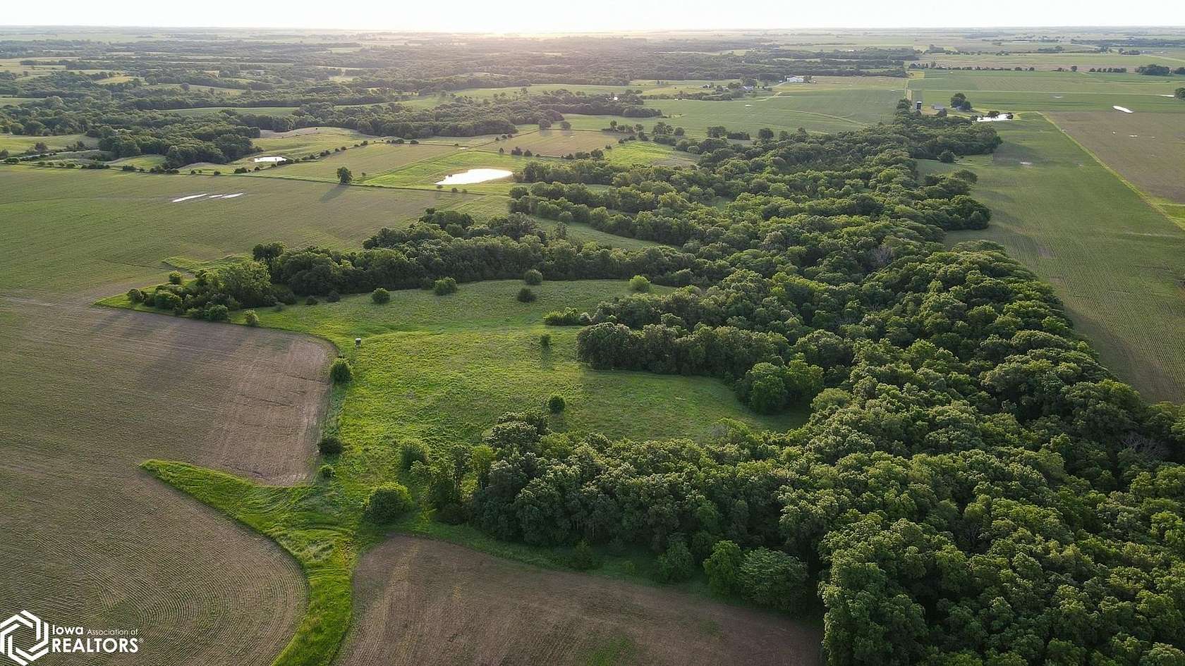 109 Acres of Agricultural Land for Sale in Stockport, Iowa