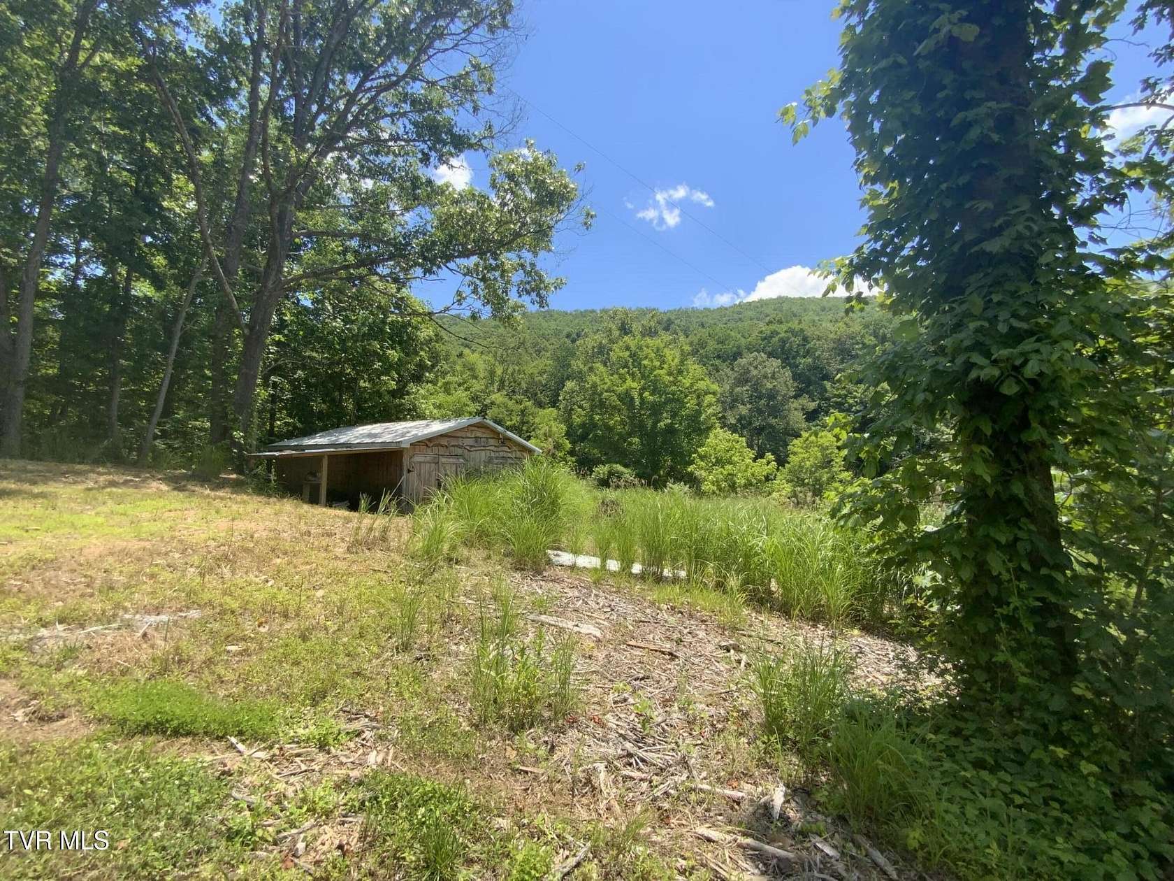 24.4 Acres of Recreational & Residential Land for Sale in Blackwater, Virginia